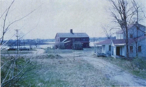image-asset
